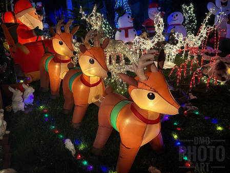 ~ ~ RUDOLPH AND THE GANG ~ ~ 