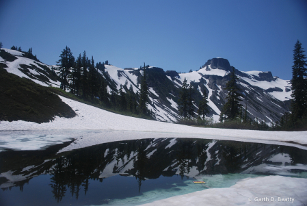 Snow Reflections