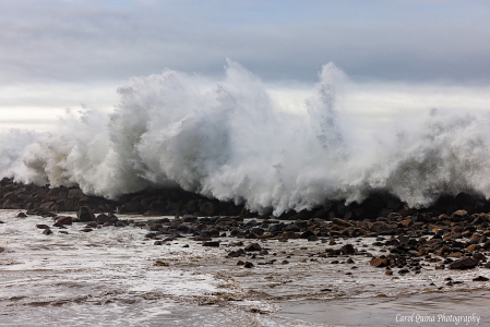 Force of Nature