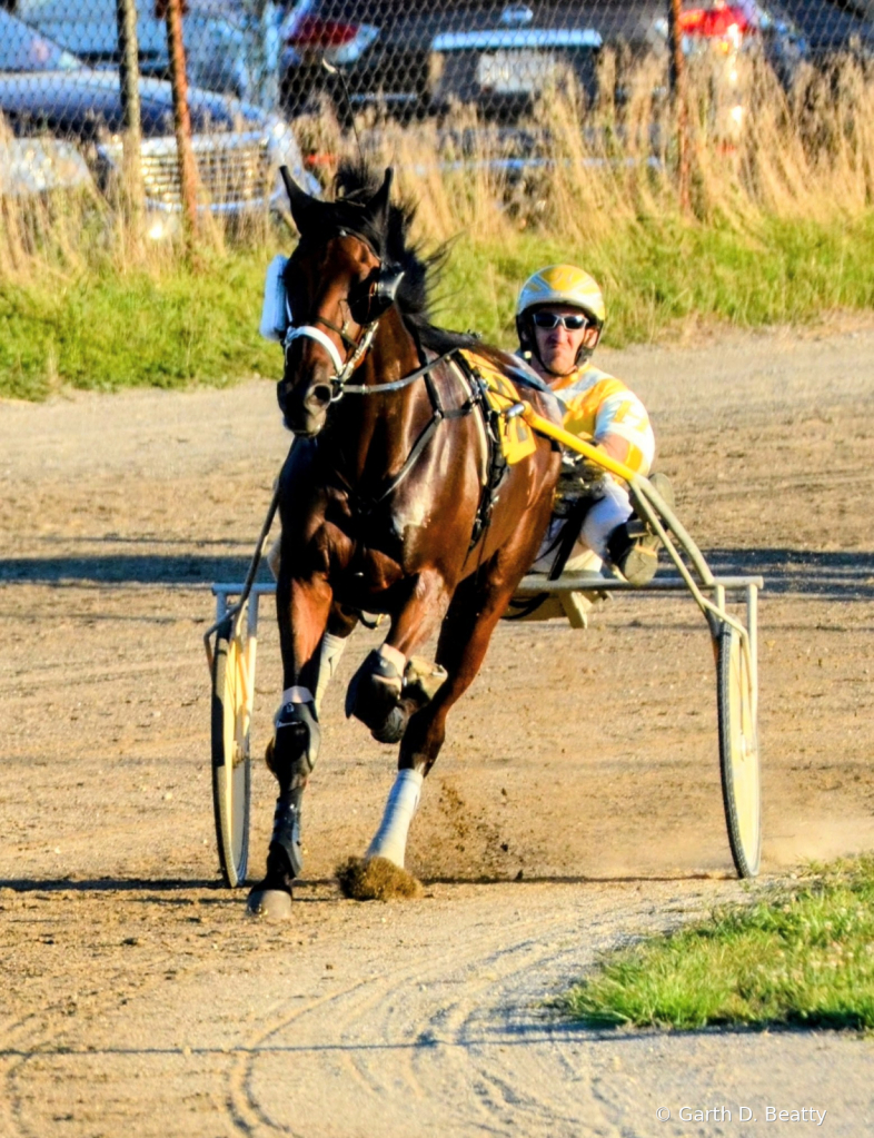 Harness Racing - Coming to the Last Turn