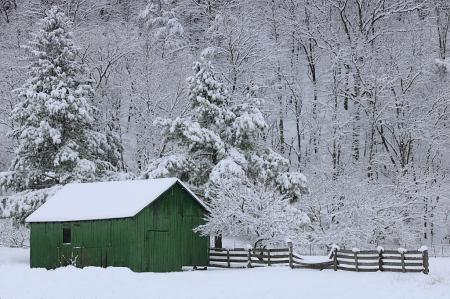 Fresh Snow