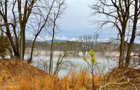 ~ Lonesome Pine By The Riverside ~