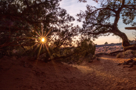 Evening desert sky