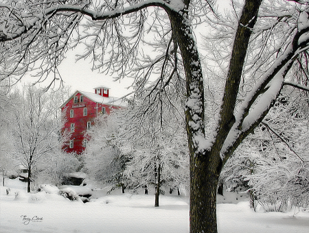 Winter View