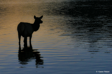 At Sunset