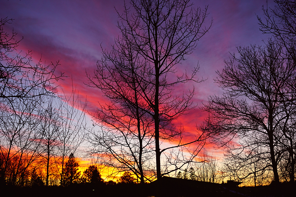 End of January Sunset