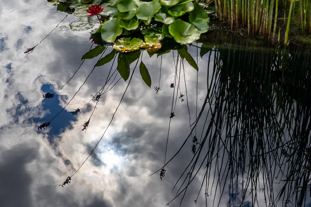 Reflections on a Cloudy Day