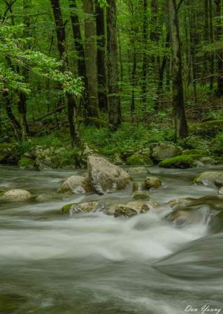 Middle Prong, Little River, Smoky Mountains