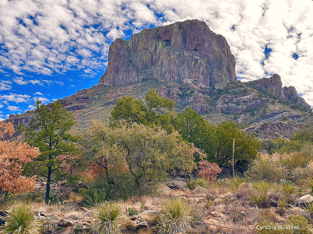 Chisos Basin  Big Bend National Park 