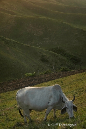 Batanas Landscape