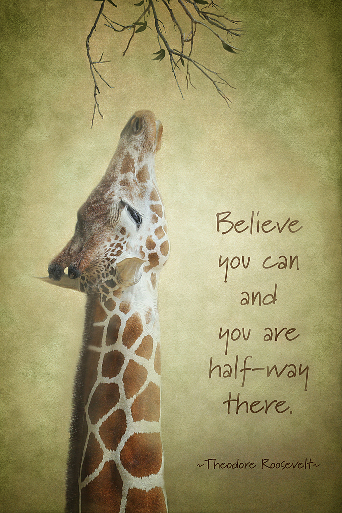 Believe You Can...