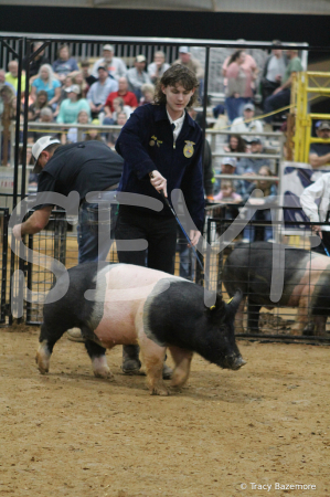 swine8604