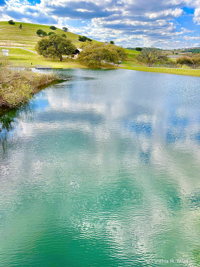 Fishing Pond 