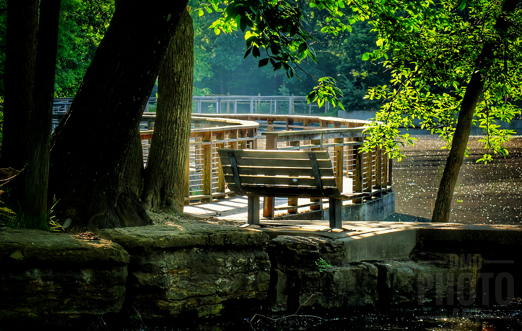 ~ ~ BENCH AT EARLY MORNING LIGHT ~ ~ 