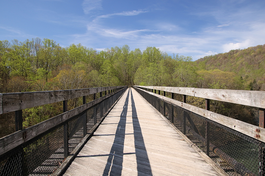 Boardwalk to Spring