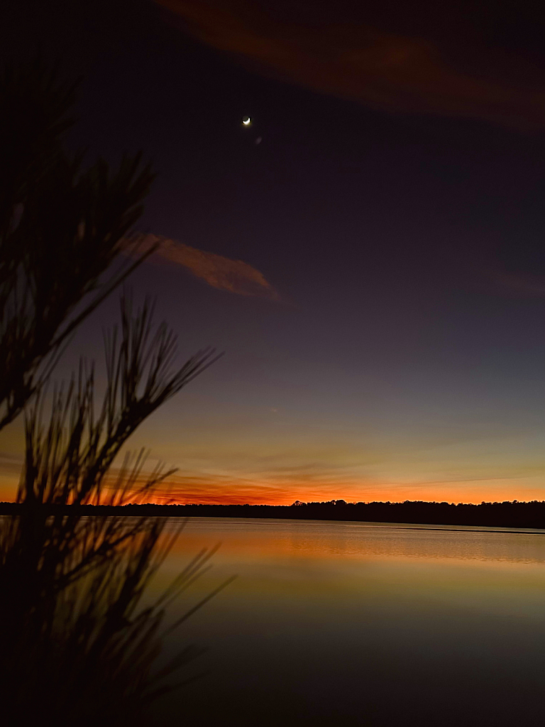 Peeking at the crescent moon 