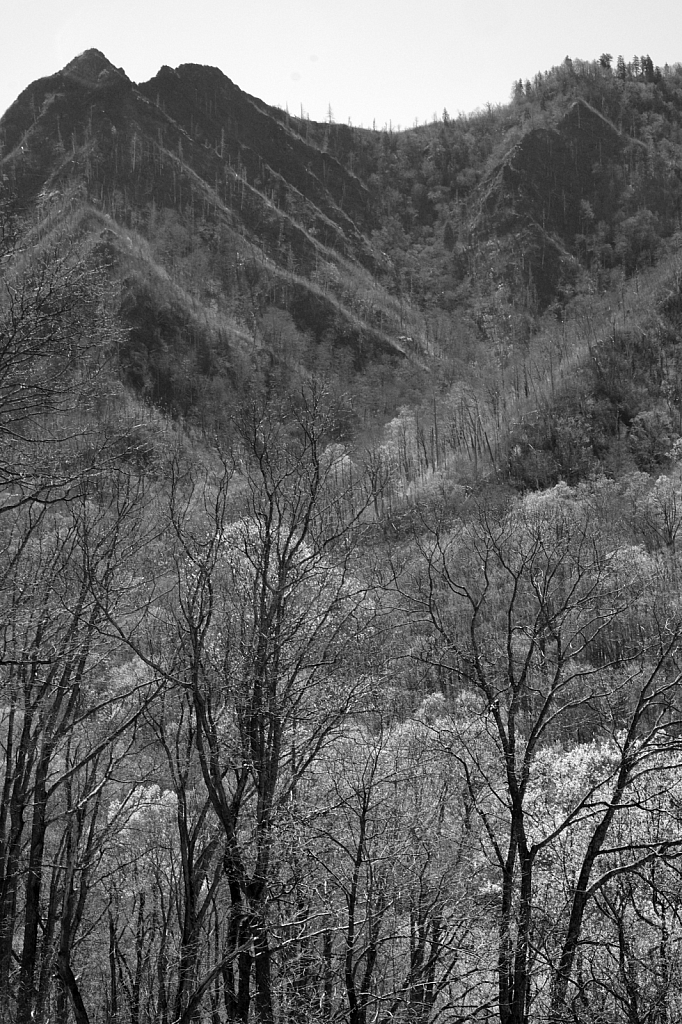 Chimney Tops Overlook