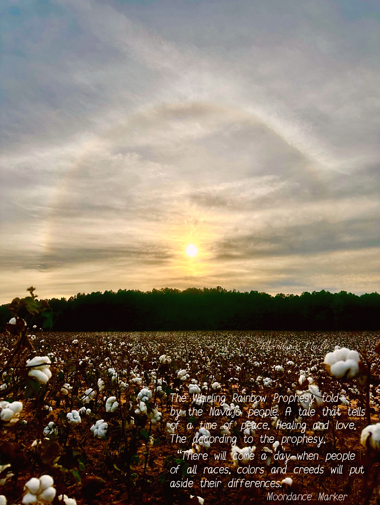 Whirling Rainbow  - ID: 16113177 © Elizabeth A. Marker