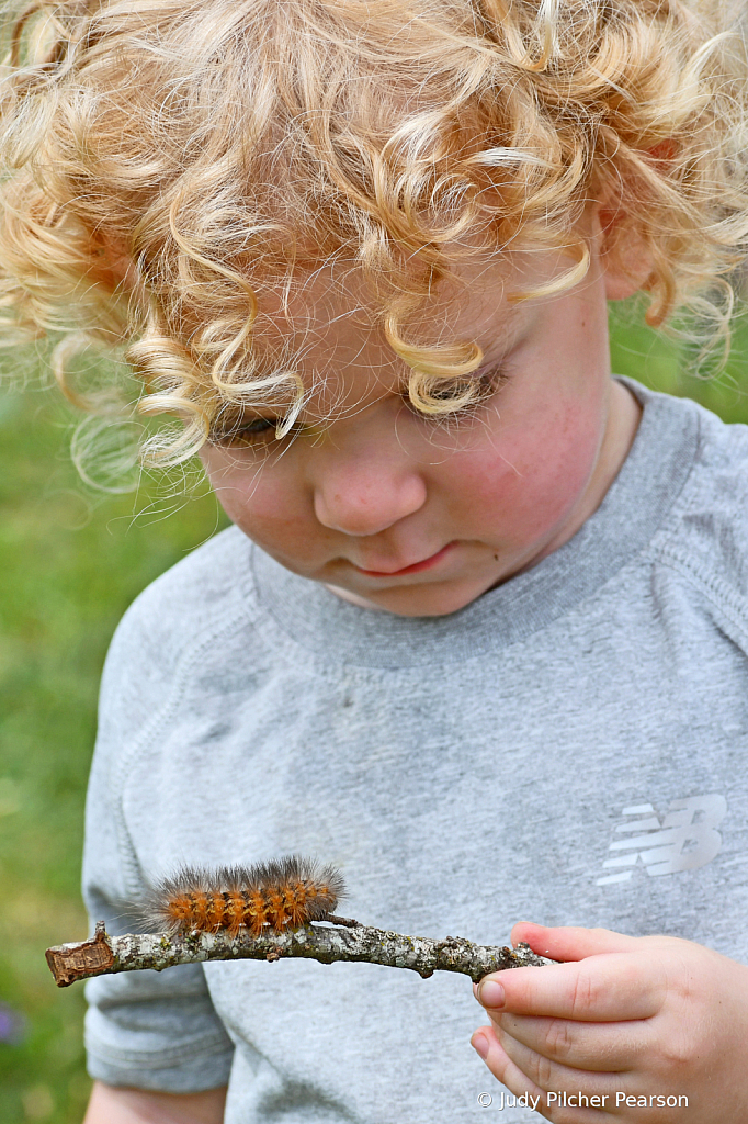 sweet curiosity....