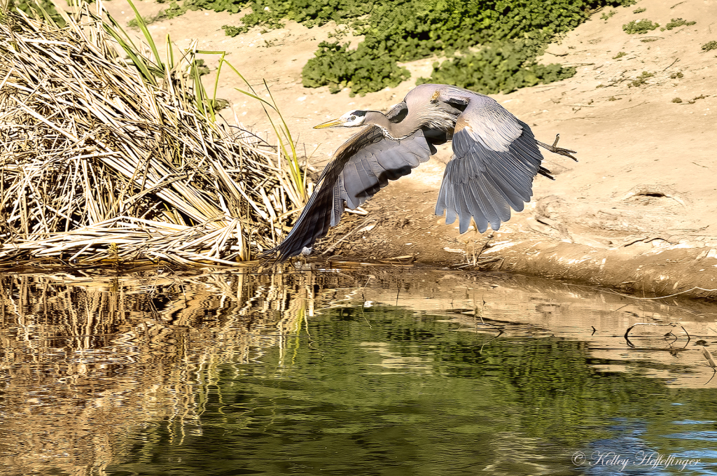 In-flight