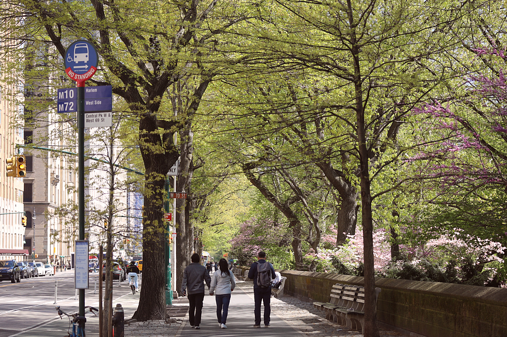 Spring in New York