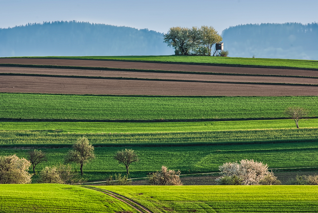 Spring Layers