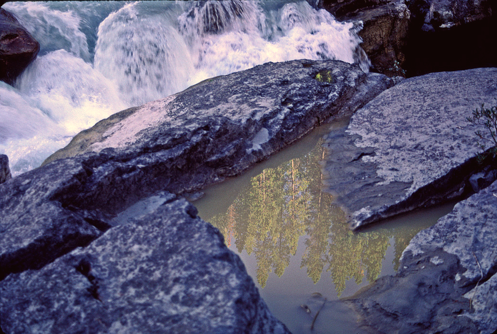 Sunwapta Reflections