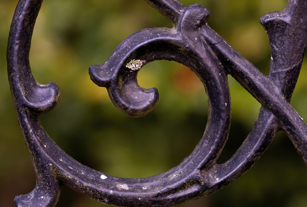 Wrought Iron Curves