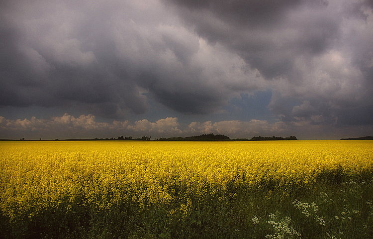 Storm Threatening