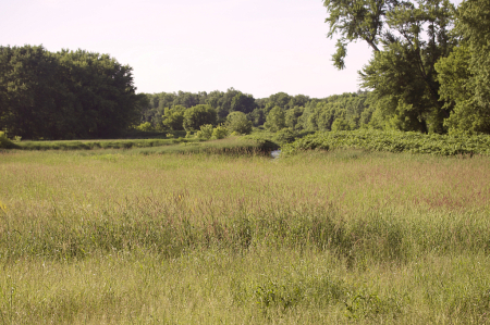 Soon To Be Hay