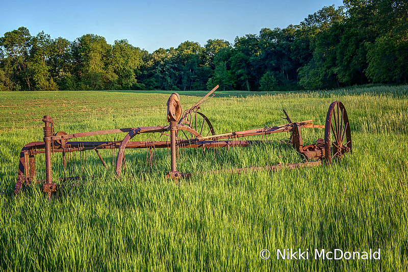 Old Hay Rake and Boot