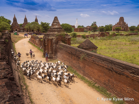 Scene of Bagan