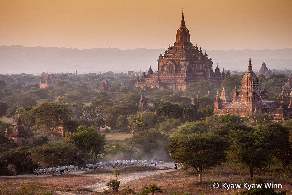 Our Bagan