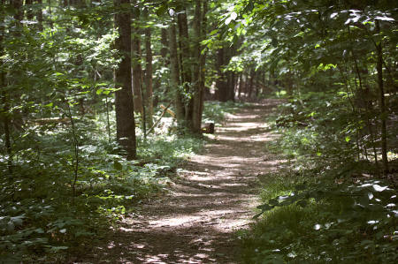 Canoe Meadows Path