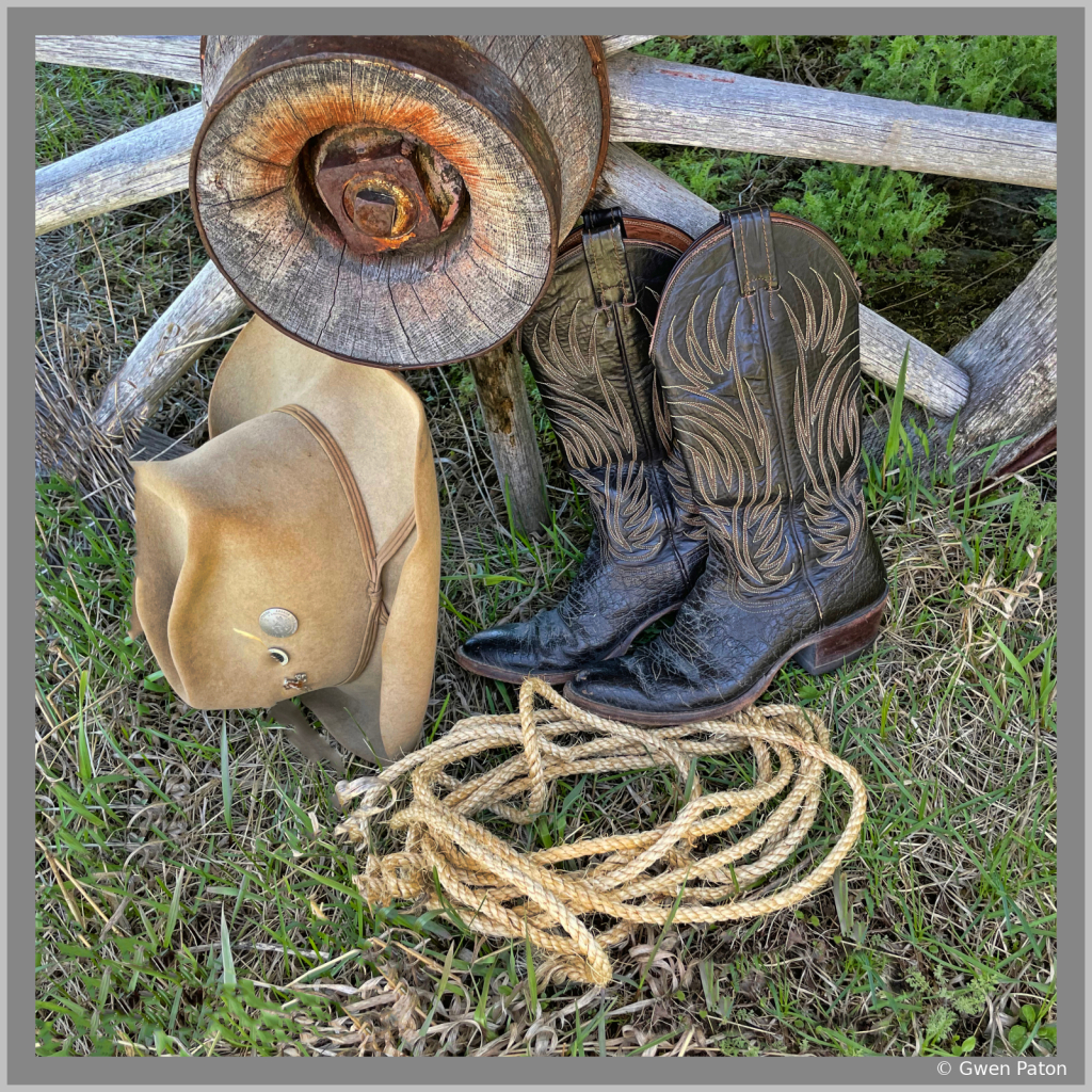 Cowgirl Essentials #3