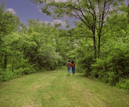 The Morning Walk