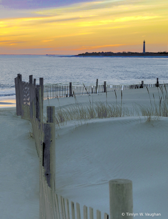 Cape May Snowy Sand