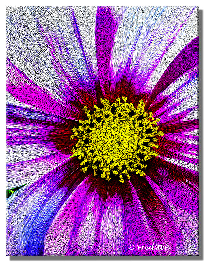 Flower Made Into Oil Painting In Photoshop