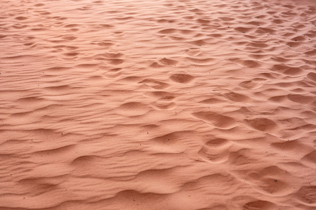 Footprints and Ripples in  Desert Sand