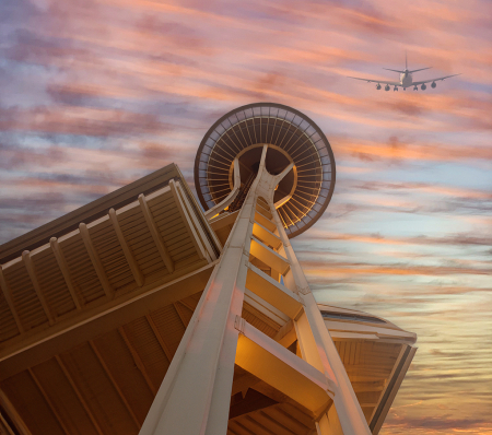 SPACE NEEDLE VIEW