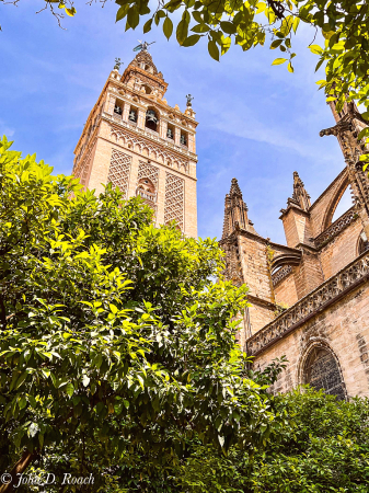 The Cathedral behind Orange Trees in Seville