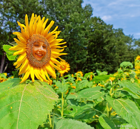 Happy  Sunflower