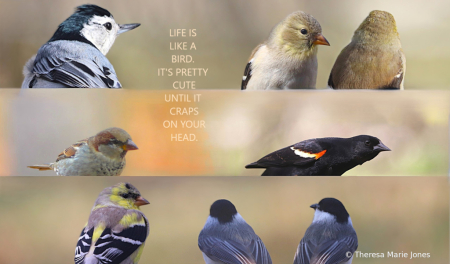Life is like a bird...