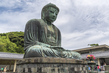 Great Buddha of Kamakura (Kamakura Daibutsu)