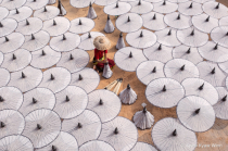 Photography Contest - July 2024: White Umbrellas