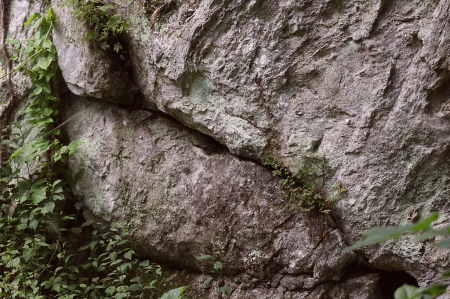 Another Prehistoric Boulder