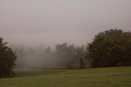 What's Behind the Mist