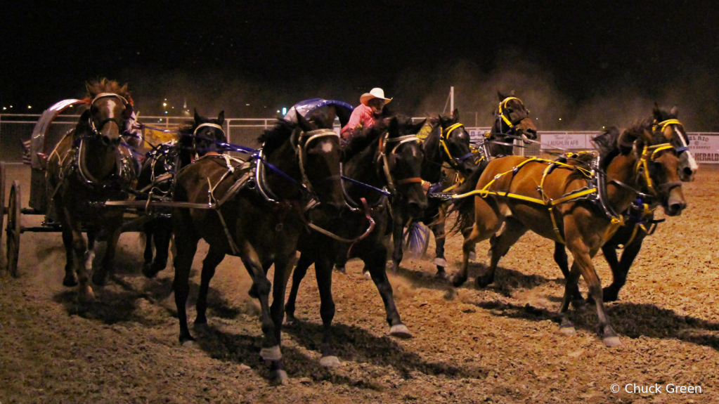 Chuckwagon Race