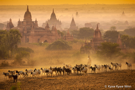 Golden bagan