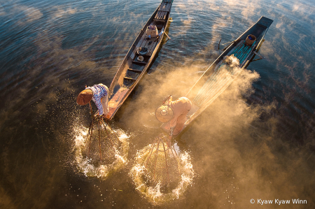 Fishing In the Mist